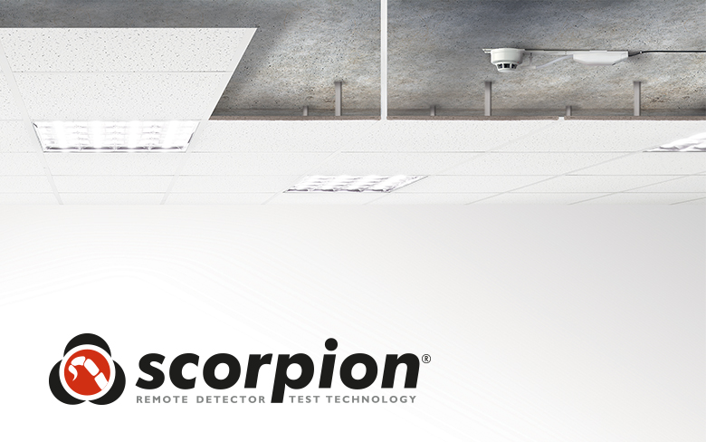 Scorpion